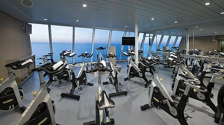 Vision of the Seas